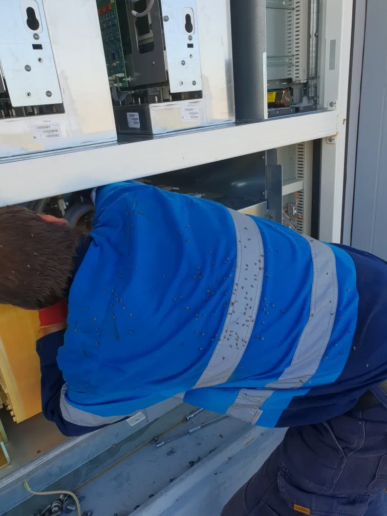 Technician in blue hi-vis shirt performing hands-on inverter maintenance at Collinsville Solar Farm, North Queensland — shutdown and safety procedures on live generation equipment.